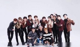 湖南老王爆料事件视频,揭秘背后真相